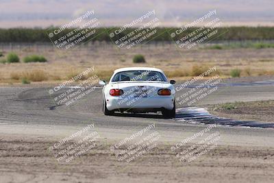 media/Oct-04-2025-OnGrid (Sat) [[44bd565ffa]]/Purple Group/Grapevine/